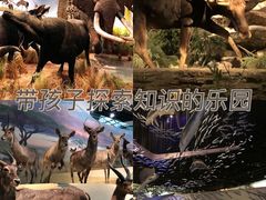 -武汉园博园(武汉自然博物馆)