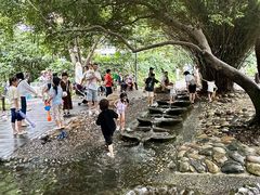 -成都市活水公园