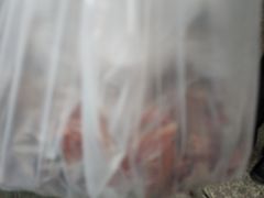 -马记清真肺片(玉林中横巷)