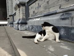 景点-平安桥天主教堂
