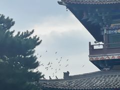 -广佑寺风景区