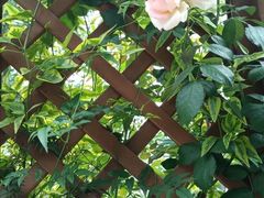 -往来·竹里.宝宝宴.生日宴.团建.宴席(花乡农居店)