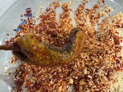 鳝鱼-晓靖轩烧烤(沙河风情店)