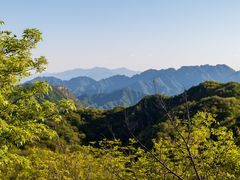-大岭沟猕猴桃谷风景区