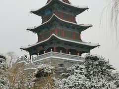 -迎泽公园