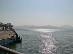 -招商蛇口邮轮母港(观光客运)