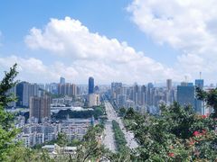 -板樟山森林公园