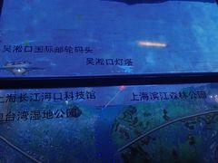 -上海长江河口科技馆