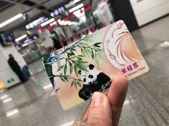 -成都皈徕栖精品酒店(四川大学九眼桥店)