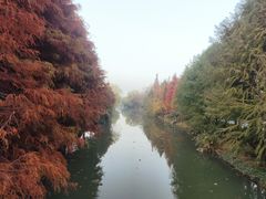 -昆山城市生态森林公园