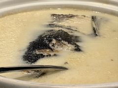 -丹江渔村(望京店)