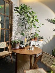 -芳香乐府疗愈空间·SPA·冥想