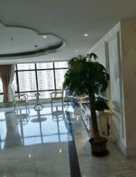 -雪儿海蒂·女性私密整形专科