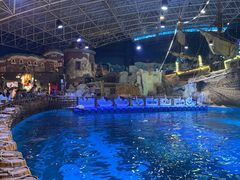 -海合安青岛极地海洋公园
