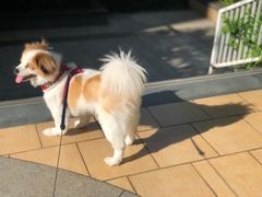 -农畉LONFOOD(福田星河COCOPark店)