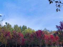 -哈尔滨文化公园