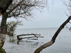 -捞渔河湿地公园