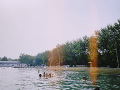 -柳浪游泳场