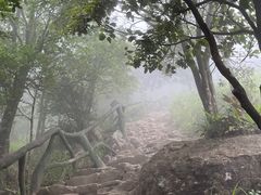 -梧桐山风景名胜区