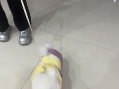 -思琪宠物医院(昆山花桥店)