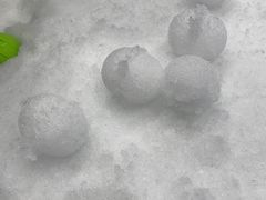 -Mr·Kuma酷么先生雪之乐园