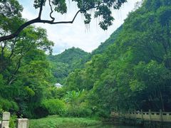 -黔灵山公园