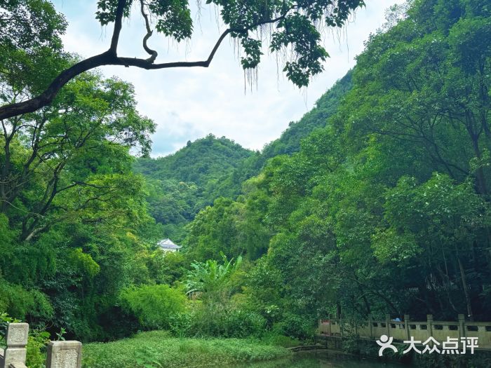 黔灵山公园图片