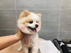-宠福鑫康馨动物医院·骨科·眼科