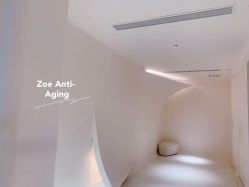 -紫御国际抗衰ZOE ANTI AGING