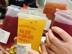 -福苗小骆驼烧烤(莲湖路店)