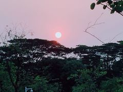 -东莞植物园