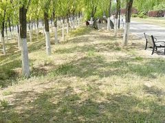 -永定河休闲森林公园