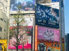 -秋叶原电器街