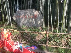 -上海醉白池公园