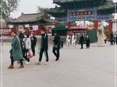 -曹州牡丹园