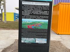 -春花秋色城市公园