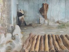 -海南热带野生动植物园