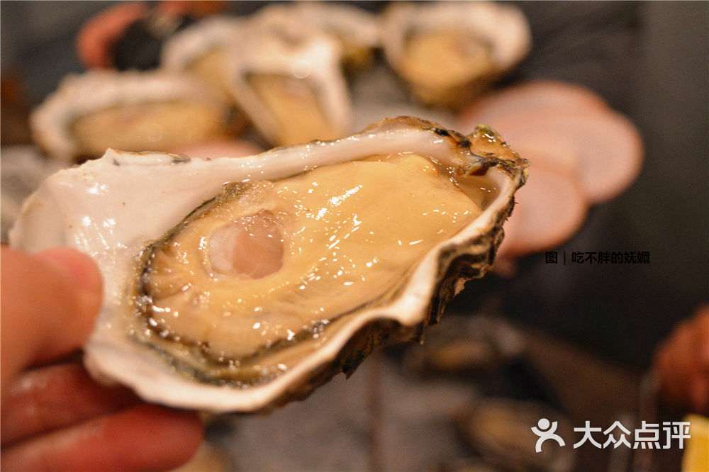 爱浪生蚝吧法国安之莲图片 - 第332张