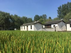 -溱湖国家湿地公园