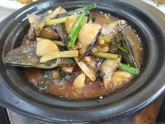-顺德美食坊(南沙分店)