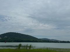 -长广溪湿地公园
