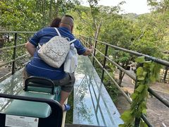 -海南槟榔谷黎苗文化旅游区