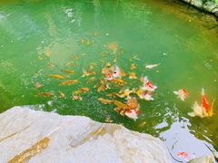 -新荣记(西溪湿地店)