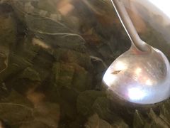 -荔枝红五号农庄