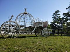 -松声马术俱乐部