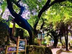 -青芝山风景名胜区