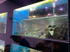 -全乐鱼馆·淳牌有机鱼直营店