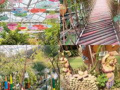 -呀路古热带植物园