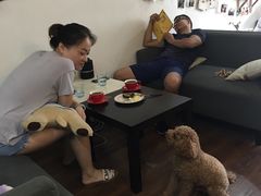大堂-参差咖啡(水果湖公园店)