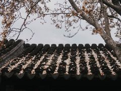 -留园